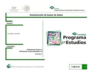 Construccionbasesdatos02.pdf