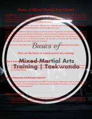 Basics of Mixed Martial Arts Classes.pdf